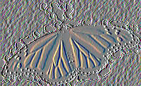 Fossil Monarch