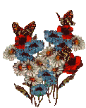 Butterflies on Flowers