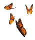 Monarchs Flying